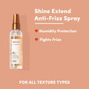 MIZANI Thermasmooth Shine Extend Anti-Humidity Spritz | Seals Blowouts & Prevents Frizz | for Curly Hair | 3 Fl Oz MIZANI