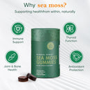 Bundle of Shilajit, Sea Moss & Mushroom Gummies with Lions Mane, Reishi, Cordyceps, Ashwagandha, 75%+ Fulvic Acid, 92+ Minerals All in 1 Supplements (1 Pack) Infinity Warehouse