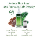 Saw Palmetto Follicle Boost Scalp Serum for Thinning Hair, Clinically Tested Hair & Scalp Treatment, Drug-Free Hormone-Free, Non-Greasy Formula with Peptides, Caffeine & Biotin Infinity Warehouse