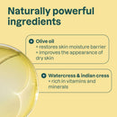 ATTITUDE Body Soap Bar, Natural Origin, Protects and Softens Dry Skin, Watercress, Indian Cress & Olive Oil, EWG Verified & Vegan, Earl Grey & Fresh Cucumber, 4 Oz Infinity Warehouse