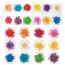 UOONY 2 Boxes Dried Flowers Resin Supplies, 24 Colors 3D Mini Real Natural Flowers Sticker for Nail Art with Tweezers for Tips Manicure Decor UOONY