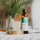 Aloe Vera Gel - Aloe Vera Plant for After Sun Lotion, Pure Aloe Vera Gel for Skin Care, Aloe Gel is Best for Face, Hair & Soothing Skincare Beauty by Earth