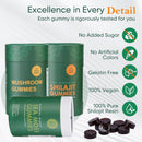 Bundle of Shilajit, Sea Moss & Mushroom Gummies with Lions Mane, Reishi, Cordyceps, Ashwagandha, 75%+ Fulvic Acid, 92+ Minerals All in 1 Supplements (1 Pack) Infinity Warehouse