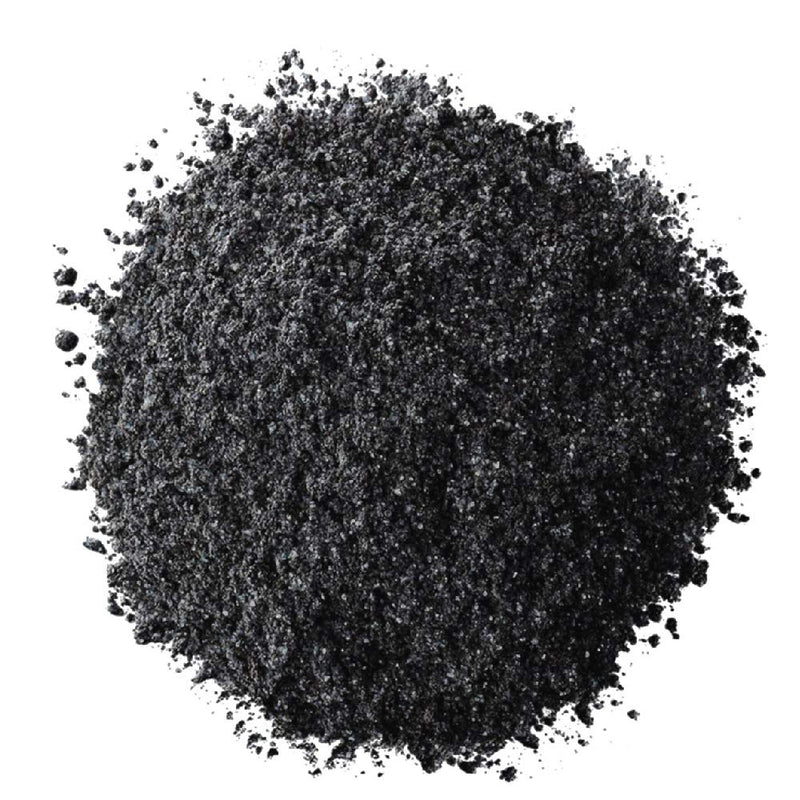 L'Oreal Paris Infallible 24HR Shadow, Eternal Black, 0.12 Ounce L'Oreal Paris Store