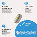 NAD HIM NAD Supplement Nicotinamide Riboside Wellness Formula, Help Restore NAD Levels, Support Testosterone Levels, NAD Supplement for Men, Non-GMO Gluten-Free, 90 Capsules Infinity Warehouse