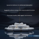Renue By Science NMN Supplement | 90 Liposomal NMN Capsules - 500mg NMN Nicotinamide Mononucleotide per Serving | Bioavailable Formula for Increased Absorption | Manufactured in the USA Infinity Warehouse