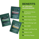 Paleovalley Organic Supergreens Powder - 23 Superfoods with Prebiotic Fiber for Energy and Immunity Support - No Cereal Grasses for Maximum Absorption - Pure Unflavored, 30 Servings Infinity Warehouse
