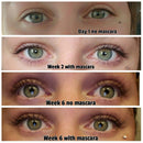 Liaison Lash Bond Eyelash Growth Serum - Natural Peptide Lash Boost & Enhancer for Longer, Fuller, & Thicker Lashes - Vegan, Cruelty Free, Paraben Free, Talc Free & Irritation Free Formula Liaison