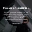Peak Potential 12-in-1 Testosterone Support for Men – Fenugreek, Ashwagandha & Tongkat Ali – Natural Strength, Energy & Muscle Builder – 90 Capsules Infinity Warehouse