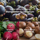 FARMSKIN Superfood For Skin Mangosteen True Balancing Facial Emulsion 4.05 fl.Oz. FARMSKIN Store