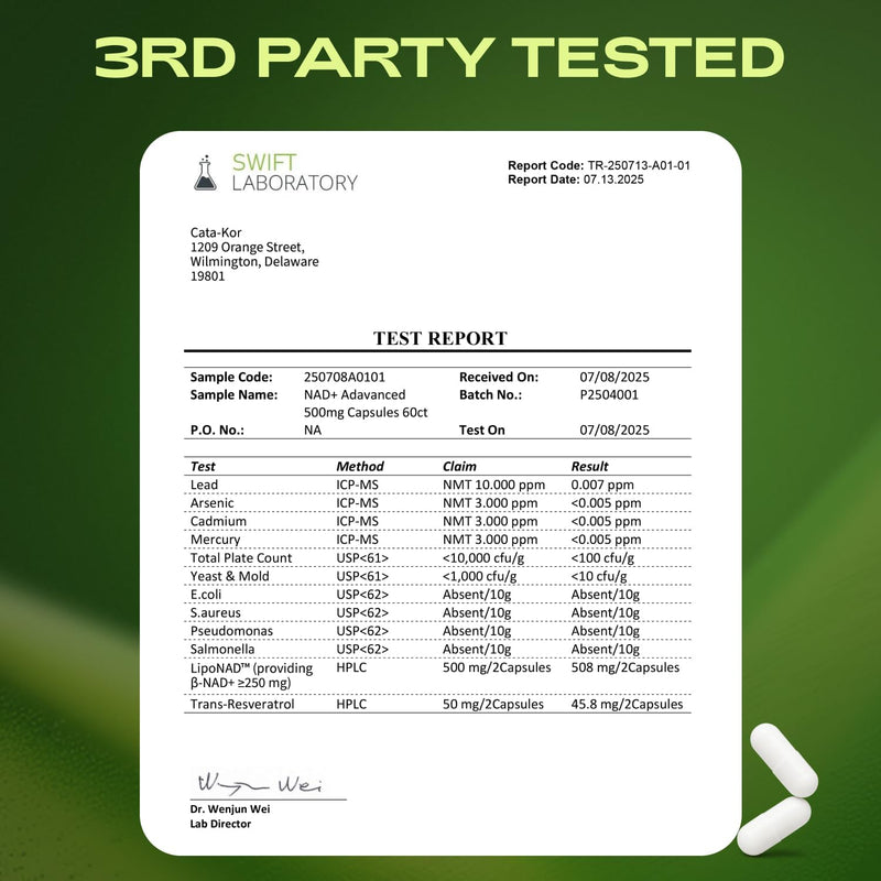 NMNH Supplement Alternative – Liposomal NAD + Resveratrol – 30-Day Supply – High Purity NAD Supplement for Energy & Healthy Aging – 60 Capsules Infinity Warehouse