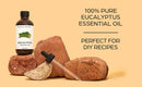 Brooklyn Botany Eucalyptus Essential Oil – 100% Pure and Natural – Therapeutic Grade Essential Oil with Dropper - Eucalyptus Oil for Aromatherapy and Diffuser - 4 Fl. OZ Brooklyn Botany