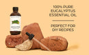 Brooklyn Botany Eucalyptus Essential Oil – 100% Pure and Natural – Therapeutic Grade Essential Oil with Dropper - Eucalyptus Oil for Aromatherapy and Diffuser - 4 Fl. OZ Brooklyn Botany