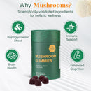 Bundle of Shilajit, Sea Moss & Mushroom Gummies with Lions Mane, Reishi, Cordyceps, Ashwagandha, 75%+ Fulvic Acid, 92+ Minerals All in 1 Supplements (1 Pack) Infinity Warehouse