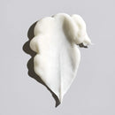 Oribe Signature Conditioner Beauty Coquette