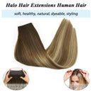 GOO GOO Halo Hair Extensions Human Hair Ombre Walnut Brown to Ash Brown and Bleach Blonde 100g 20 Inch Straight Hidden Crown Wire Hair Extensions Flip in with Invisiblbe Fish Line Layered Hairpiece GOO GOO Store
