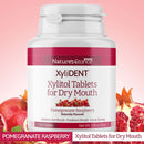 XyliDENT Xylitol Tablets for Dry Mouth Relief - Stimulates Saliva, Freshens Breath, Reduces Acid Production, Fast Acting Extended Relief, 100 Count Nature's Stance