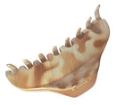 Parcelona French Narrow Thin Ivory Beige Medium 3 1/2" Cellulose Acetate Made in France Interlocking Teeth Covered Spring Hair Claw Clip Clamp Clutcher for Women and Girls Parcelona