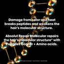 L'Oréal Professionnel Paris Absolut Repair Molecular Hair Mask - Bond Building & Repair, For All Color Treated and Damaged Hair, With Peptide Bonder & Amino Acids Infinity Warehouse