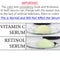 NEW LOOK | Tree of Life Vitamin C Brightening Serum and Retinol Firming Serum, Turn Back Time Facial Serum Duo, Glowing & Revitalizing Skin, 2 Count x 1 Fl Oz Tree of Life Beauty