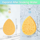 ORIGHTY 96 Count Facial Sponges for Cleansing, 100% Natural Cellulose Facial Sponges for Washing face, Compressed Cosmetic Spa Face Sponge for Exfoliating Mask, Makeup Removal Infinity Warehouse
