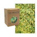 Eco Friendly Biodegradable Glitter Chunky Glitter for Festivals. Body Glitter for Hair Glitter, Nail Glitter, Face Eyeshadow glitter, Rave accessories, Holographic glitter makeup (Green Gold) ELECTRIKGLITTER