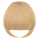 ROSEBUD Bangs Hair Clip in Bangs Hair Extensions Synthetic Flat Bang with Temples Front Face Fringe Bangs Hair Pieces for Women Rose bud