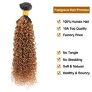 Feelgrace Hair Jerry Curl Ombre Blonde Brazilian Virgin Kinky Curly Human Hair Weave Bundles 1 Piece T1B/30 Color 16 inch Bundle Feelgrace