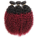Ombre Dark Red Curly Weave Human Hair 3 Bundles 99J Brazilian Curly Hair 100g/Bundles Burgundy Kinky Curly Human Hair Extensions for Black Women (16"18"20") ALISFEEL