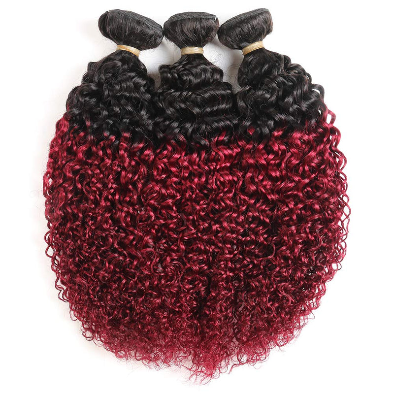 Ombre Dark Red Curly Weave Human Hair 3 Bundles 99J Brazilian Curly Hair 100g/Bundles Burgundy Kinky Curly Human Hair Extensions for Black Women (20"22"24") ALISFEEL