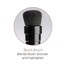 blendSMART1 Blush Brush Head (Black) blendSMART