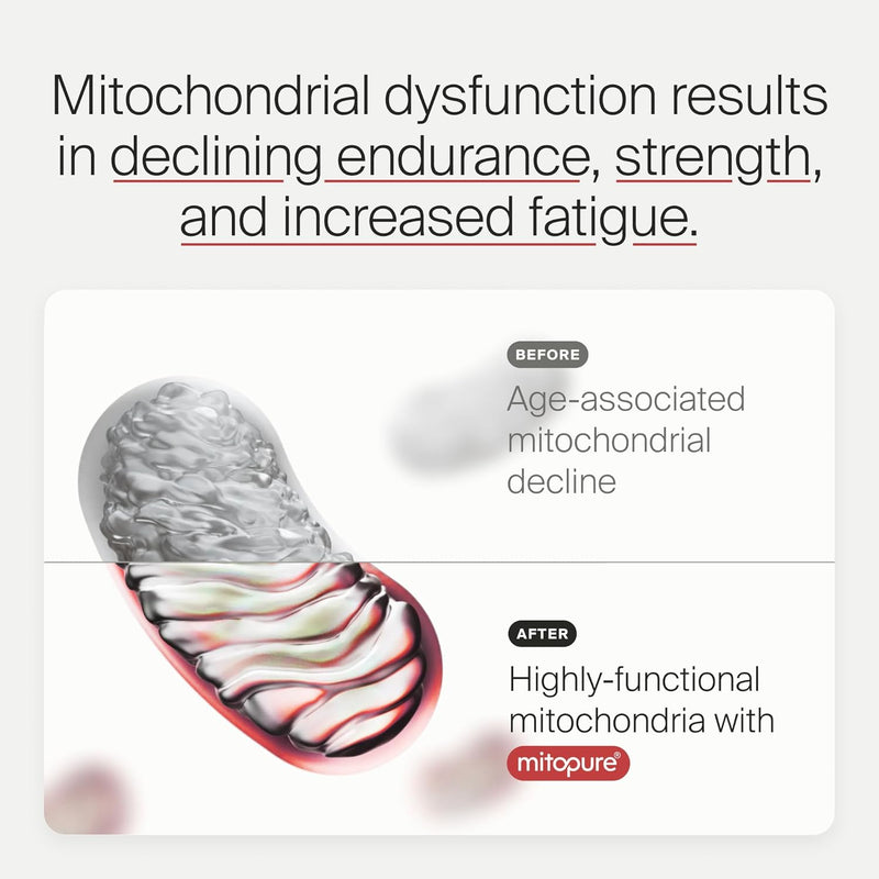 Timeline Mitopure Urolithin A - Clinically Proven Supplement for Healthy Aging and Cellular Renewal - Mitoceutical for Muscle Strength and Longevity - 60 Softgels Infinity Warehouse