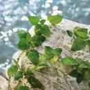 Dolce & Gabbana Light Blue Pour Homme, Eau De Toilette Spray, Fragrance For Men Infinity Warehouse