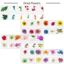 ANPHSIN 4 Boxes Dried Flowers Nail Art- 48 Colors Mini Natural Real Dry Flowers 3D Applique Art Resin Art Supplies with Tweezers for Nail Decoration Sticker Nail Tips Manicure ANPHSIN