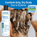 Dermasolve Eczema Relief Shampoo - Flare Control Scalp & Dandruff Free Therapy That Protects, Moisturizes, and Repairs Skin for Kids & Adults - Steroid Free (2-Pack) Infinity Warehouse