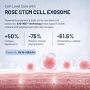 ASCE+ EXOBALM-SR2 Rose Exosome Night Cream 20ml – Anti-Aging Overnight Repair with Freeze-Dried Exosome Capsules | Wrinkle & Pigmentation Care, Deep Hydration, Firming | Korean Skincare by ExoCoBio Infinity Warehouse