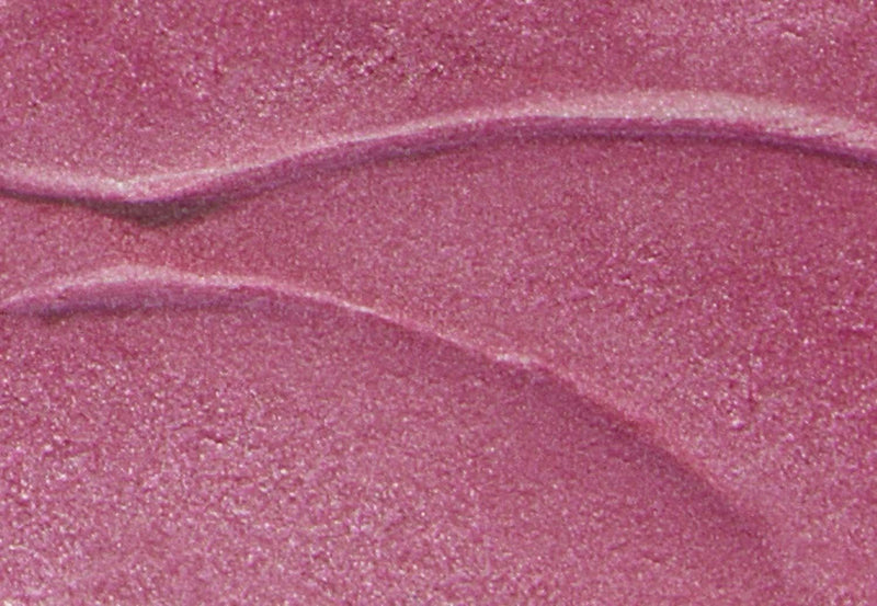 Burt's Bees Lip Balm Stocking Stuffer, Moisturizing Lip Shimmer Holiday Gift for Women, with Vitamin E & Coconut Oil, 100% Natural, Watermelon, 0.09 Ounce Burt's Bees