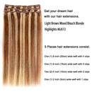 5 Pieces 12 Remy Clip in Hair Extensions Human Hair Light Brown Mixed Blonde Highlights - Beauty Silky Straight Short Thick Real Hair Extensions for Women Fashion (12 inches, 6/613, 60 grams) Amygirl