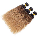 12A Ombre Brazilian Virgin Curly Hair 3 Bundles (T1B/30/27,22" 24" 26") Ombre Virgin Remy Kinky Curly Human Hair Weave Bundles 100% Unprocessed Virgin Remy Hair Bundles 3 Tone Ombre Bundles ROYAL IMPRESSION