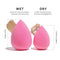 AOA Studio Collection Makeup Sponge Set Makeup Blender Latex Free and High-definition Set of 6 Makeup Blender For Powder Cream and Liquid, Super Soft Wonder Blender Beauty Cosmetic AOA STUDIO