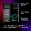 MitoQ +Liver Premium CoQ10 Antioxidant - Contains Mitoquinol Mesylate, Choline, Milk Thistle, Selenium - Supports Metabolism, Liver Health, Body’s Natural Detoxification & Cell Vitality (60 Capsules) Infinity Warehouse