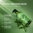 Antifungal Body Wash & Soap, Tea Tree Body Wash, Antibacterial Body Wash & Soap, Back Acne Body Wash, Natural Body Wash With Tea Tree Oil For Jock Itch, Back Acne, Athletes Foot, Body Odor, Nail Fungus, Ringworm, & Eczema - 16.9 Fl Oz Infinity Warehouse