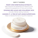 TATCHA Ageless Revitalizing Eye Cream | Cruelty-Free Cream to Reduce Appearance of Fine Lines, Dark Circles and Puffiness | 15 ml / 0.5 oz Infinity Warehouse