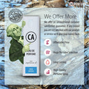 CA Perfume 2020 Most Attractive Women Set Impression of ( Love in White + Bombshell + Chance Tendre + Jadore + Mon Paris ) Fragrance Sample Travel Size Parfum Sprayer ( 0.3 Fl Oz/10 ml) x5 CA Perfume