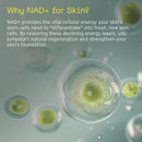 Aramore NAD+ Cell Energizing Treatment, Skin Care for Face (50ml) | Targets the Look of 12 Signs of Aging, Visibly Firms, Smooths & Hydrates Skin, Vegan, Fragrance-Free, Clinically Tested Infinity Warehouse