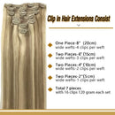 GOO GOO Clip in Hair Extensions Ombre Light Blonde Highlighted Golden Blonde 14 inch 7pcs 120g Remy Clip in Human Hair Extensions Thick Straight Real Hair Extensions GOO GOO Store