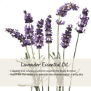 Relaxation Body Wash & Bubble Bath Duo with Lavender Essential Oil Kneipp
