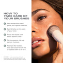 Morphe Best of Blends 8 Piece Makeup Brush Set - Face and Eye Makeup Brushes for Foundation, Concealer, Powder, Blush, Eyeshadow & Brows - Professional Brush Kit (8 ct) Infinity Warehouse