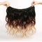100% 7A Brazilian Remy Human Hair Weave Double Weft Body Wave 3 Bundles 300g Ombre Hair Extensions for Women (20 inch,Natural Black to Dark Auburn to Dark Blonde