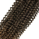 Niseyo 7 Packs Passion Twist Hair 24 Inch Ombre Water Wave Crochet Hair for Passion Twist Crochet Hair Long Bohemian Locs Braiding Hair Extensions (7Packs T27) Niseyo Store